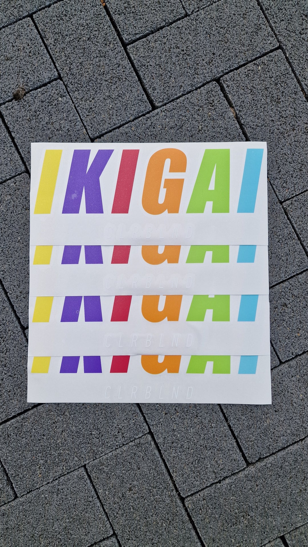 IKIGAI Sticker